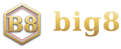 big8 logo
